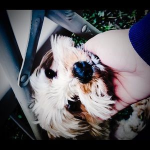 Meet your Posher, Maria